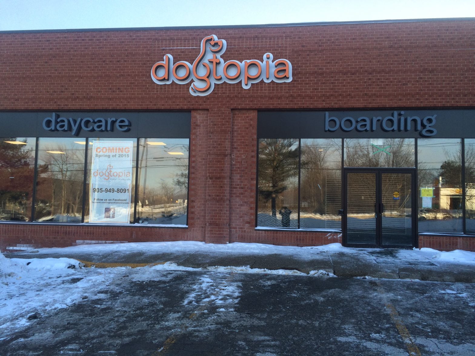 Dogtopia Store